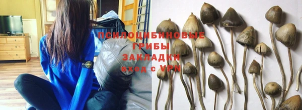 каннабис Алексеевка