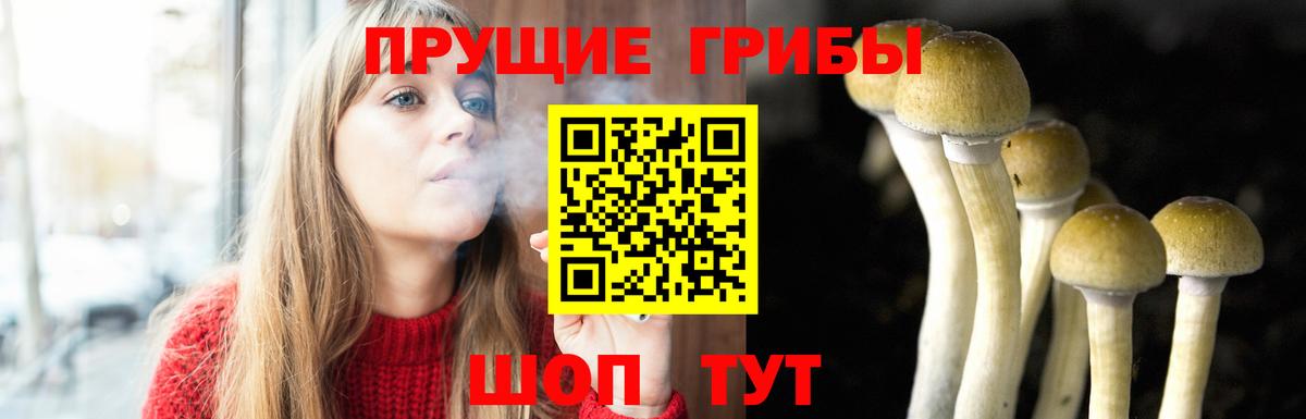 Крымск  Псилоцибиновые грибы GOLDEN TEACHER  Вход с VPN 